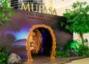Journey that Forged a Kingdom: Instalasi Disney “Mufasa: The Lion King” Hadir di Senayan City